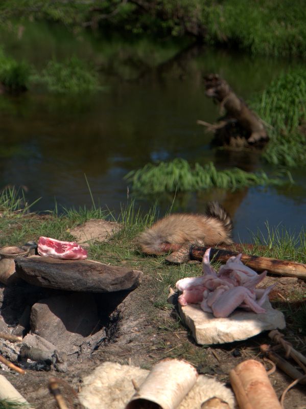 Wczytywanie Obrazu...