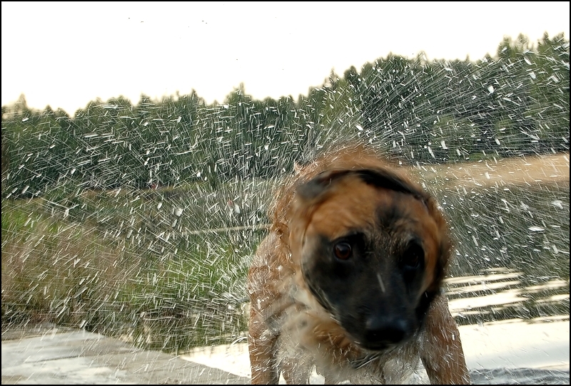 Wczytywanie Obrazu...