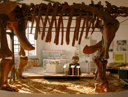 Wczytywanie Obrazu...