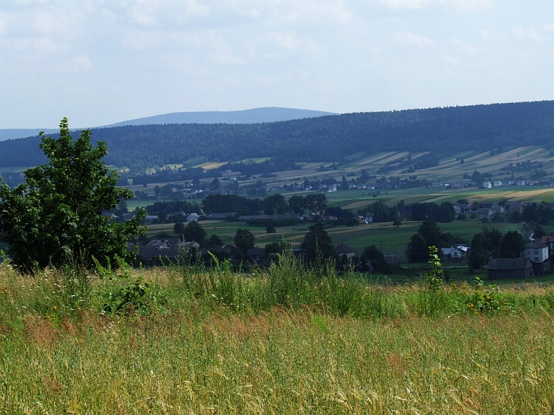 Wczytywanie Obrazu...