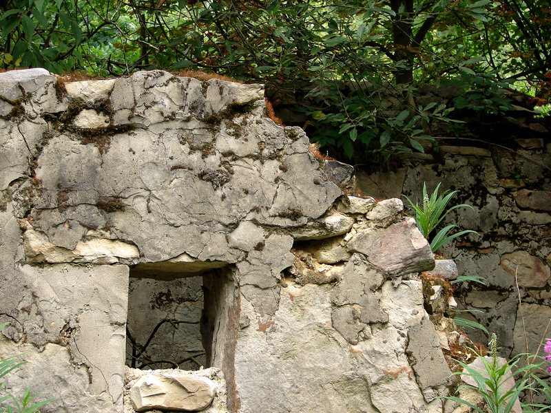 Wczytywanie Obrazu...