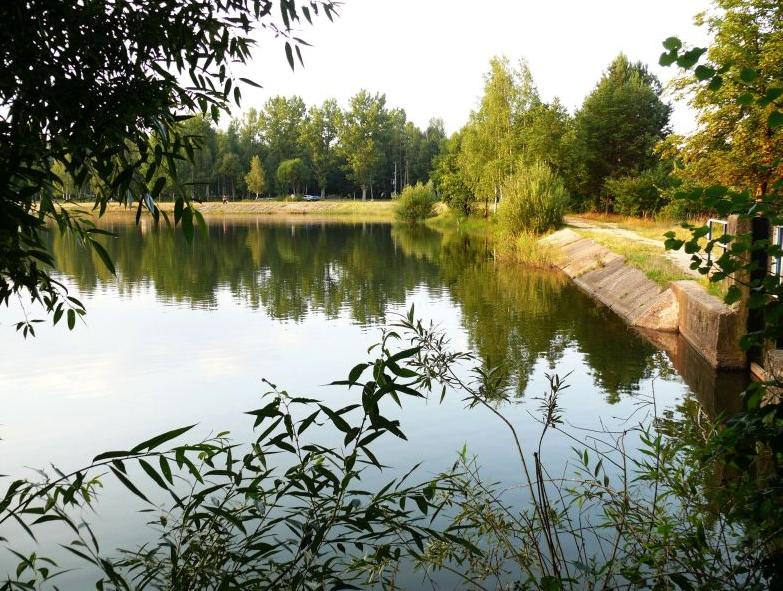 Wczytywanie Obrazu...