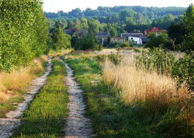 Wczytywanie Obrazu...