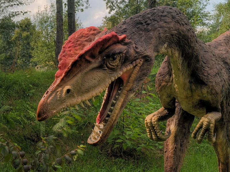 Wczytywanie Obrazu...