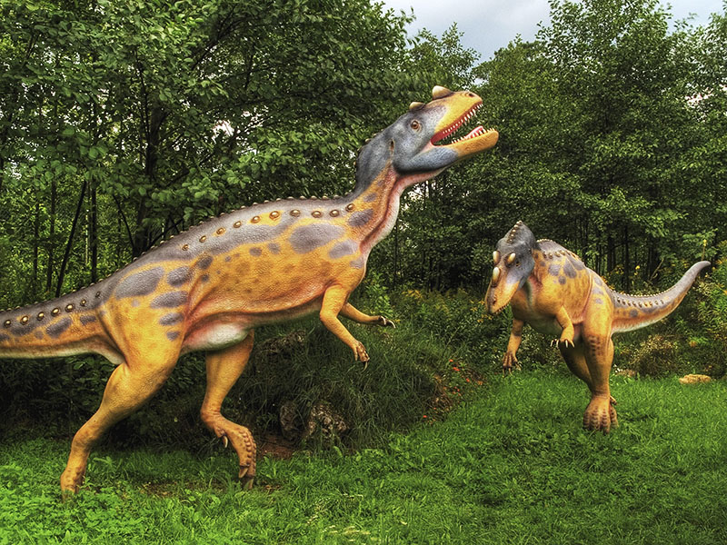 Wczytywanie Obrazu...