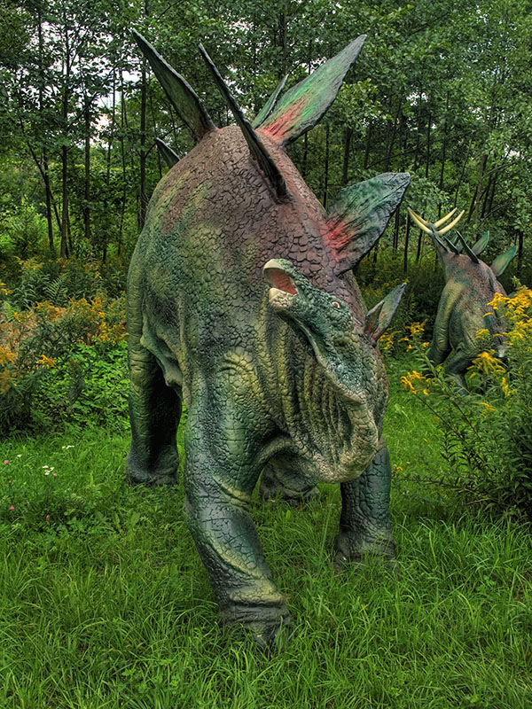 Wczytywanie Obrazu...