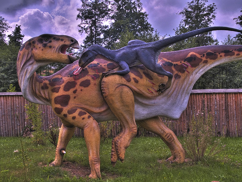 Wczytywanie Obrazu...