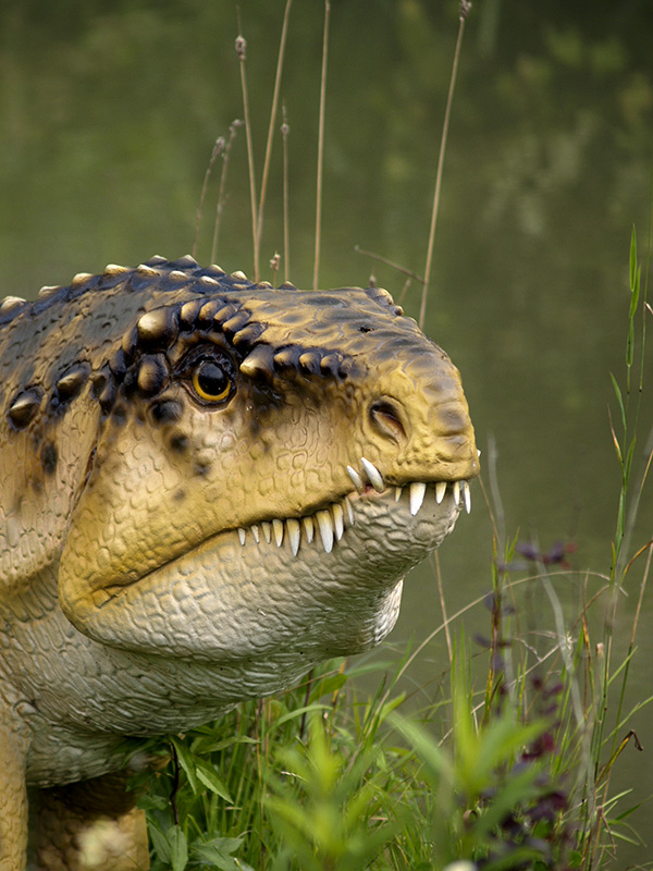 Wczytywanie Obrazu...