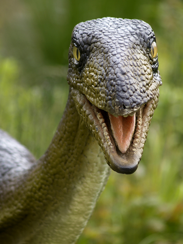 Wczytywanie Obrazu...