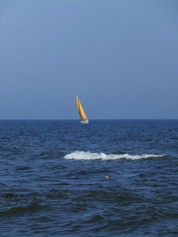 Wczytywanie Obrazu...