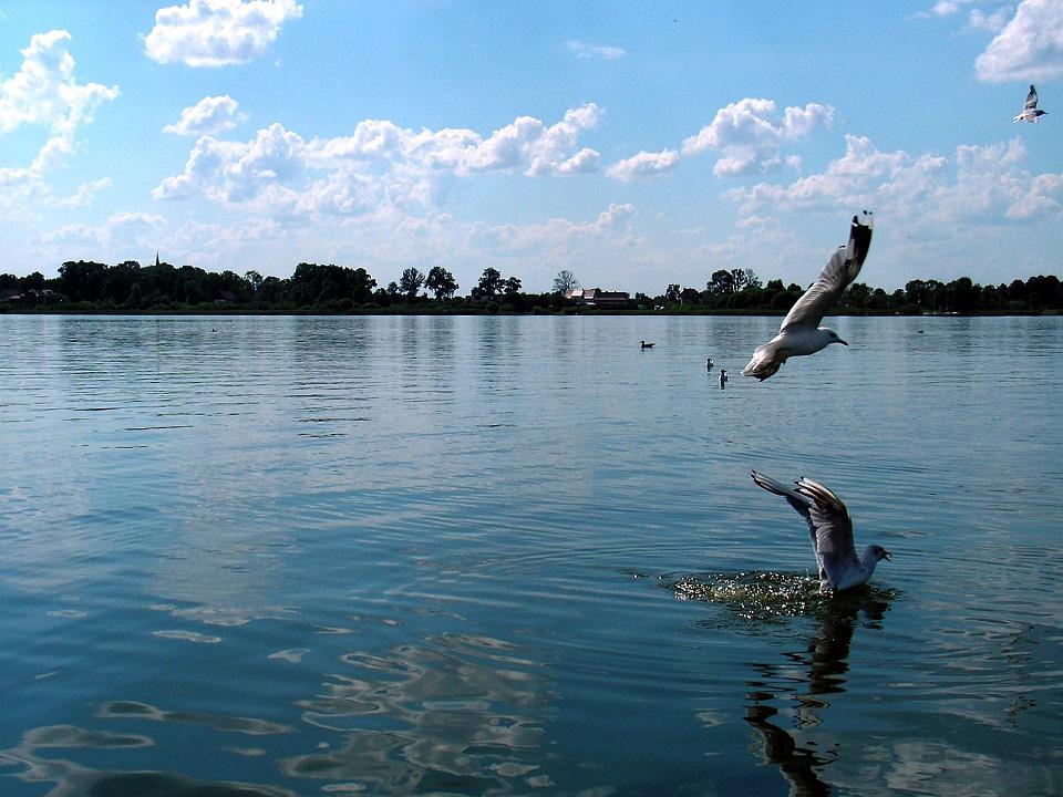 Wczytywanie Obrazu...