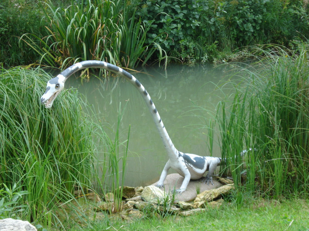 Wczytywanie Obrazu...