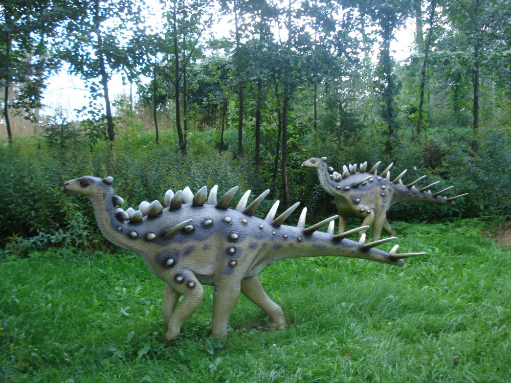 Wczytywanie Obrazu...