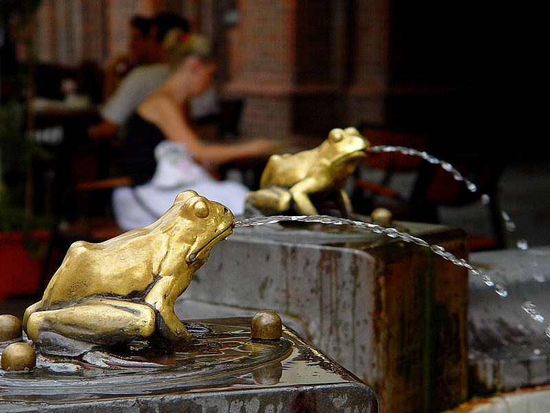 Wczytywanie Obrazu...