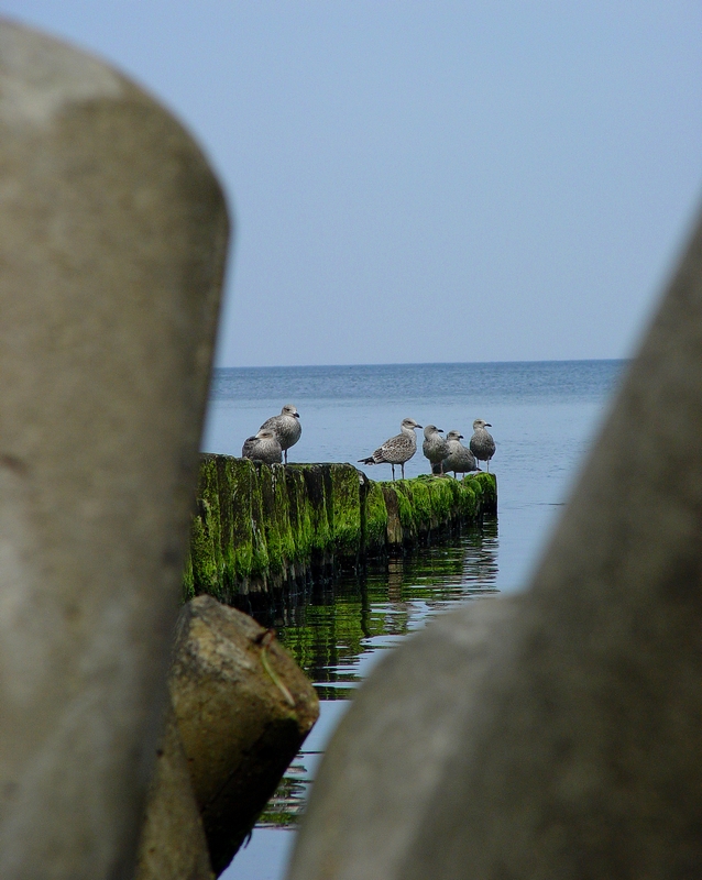 Wczytywanie Obrazu...