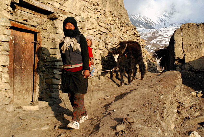 Wczytywanie Obrazu...