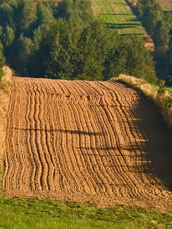 Wczytywanie Obrazu...