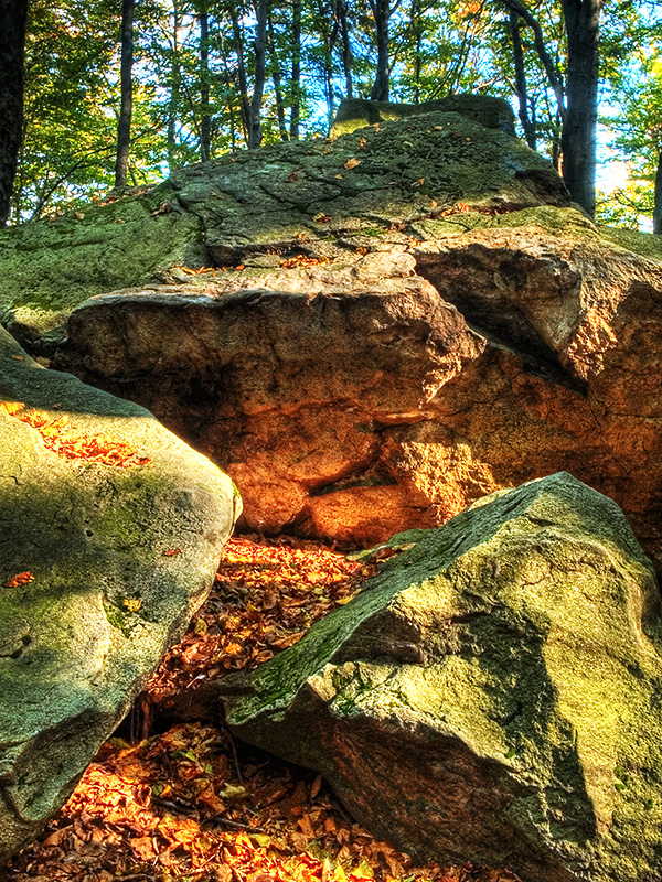 Wczytywanie Obrazu...