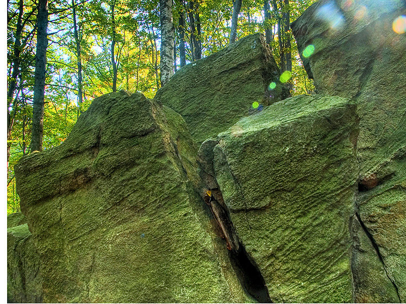 Wczytywanie Obrazu...