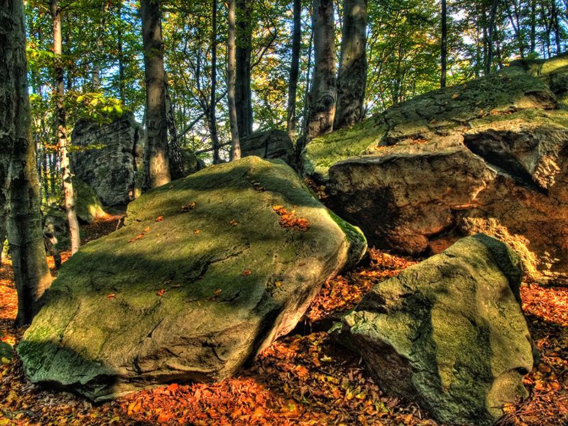 Wczytywanie Obrazu...