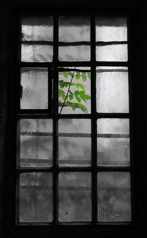 Wczytywanie Obrazu...