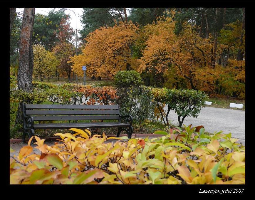 Wczytywanie Obrazu...