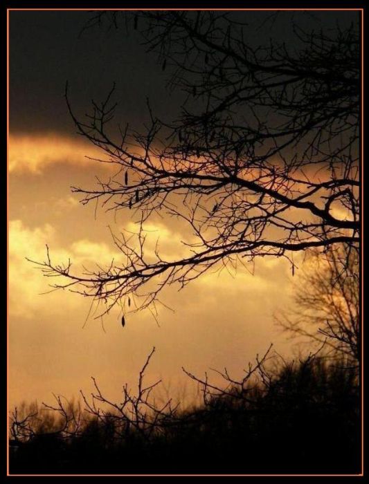 Wczytywanie Obrazu...