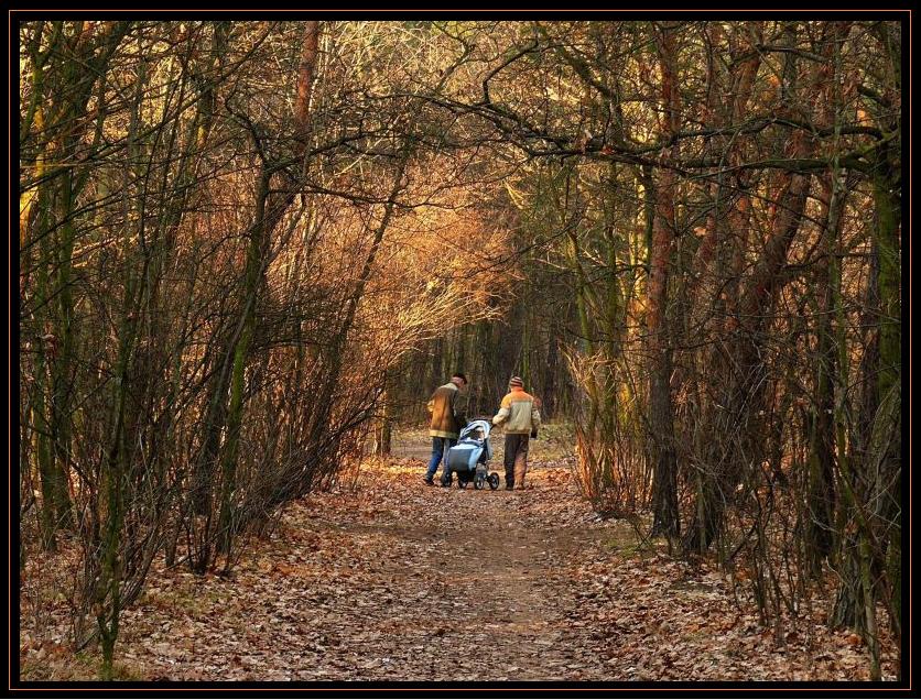 Wczytywanie Obrazu...