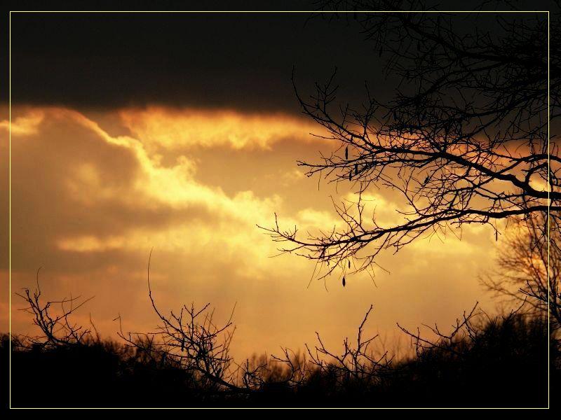 Wczytywanie Obrazu...