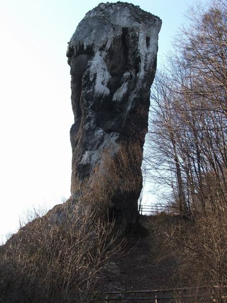 Wczytywanie Obrazu...