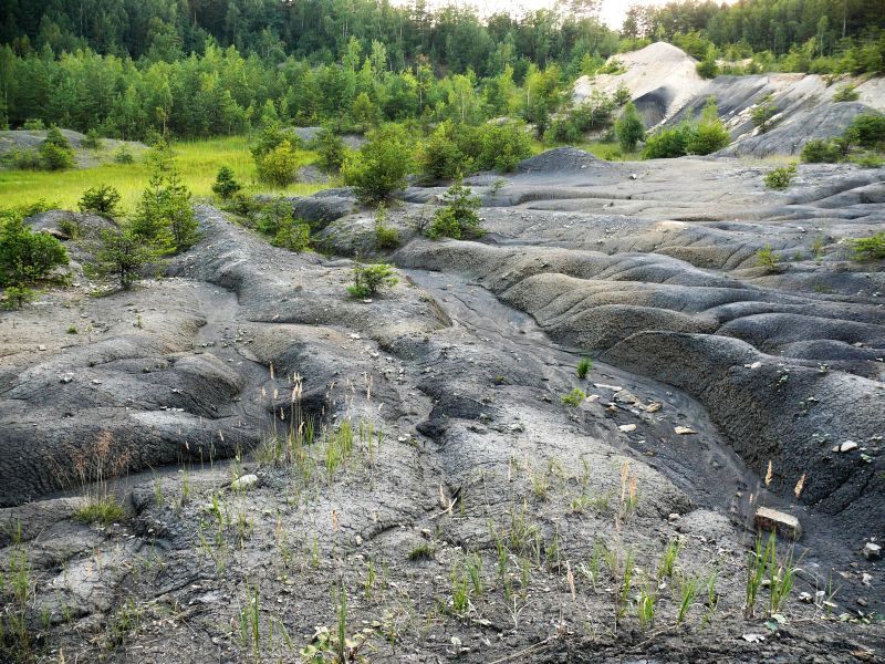 Wczytywanie Obrazu...