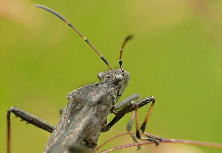 Wczytywanie Obrazu...