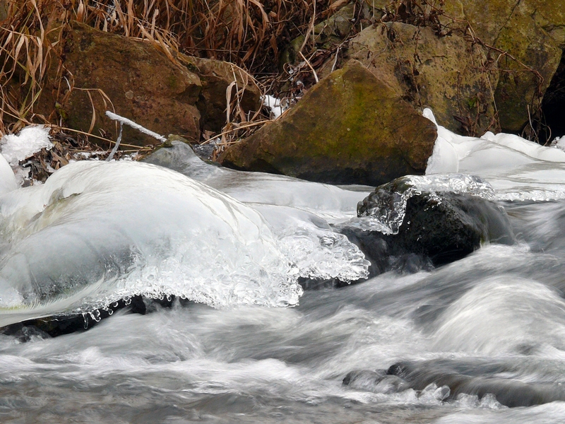 Wczytywanie Obrazu...