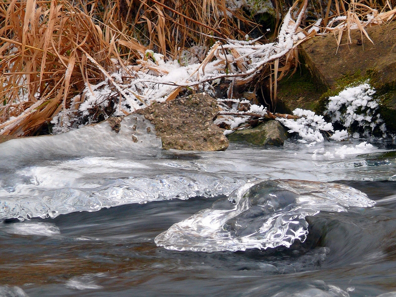 Wczytywanie Obrazu...