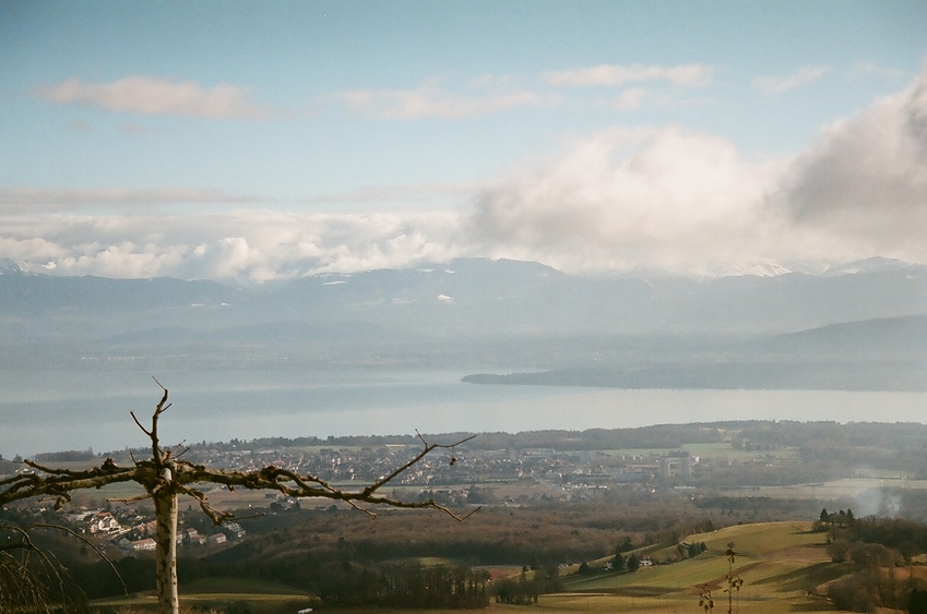 Wczytywanie Obrazu...