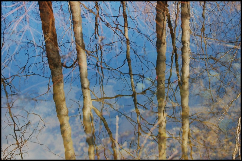 Wczytywanie Obrazu...