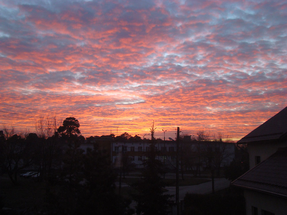 Wczytywanie Obrazu...