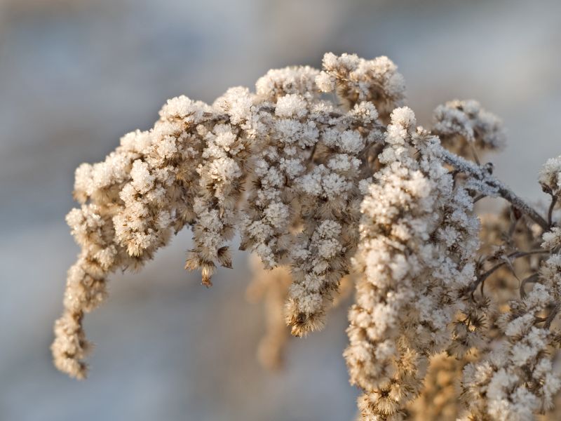 Wczytywanie Obrazu...