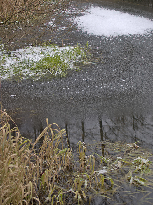 Wczytywanie Obrazu...