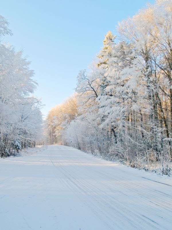 Wczytywanie Obrazu...