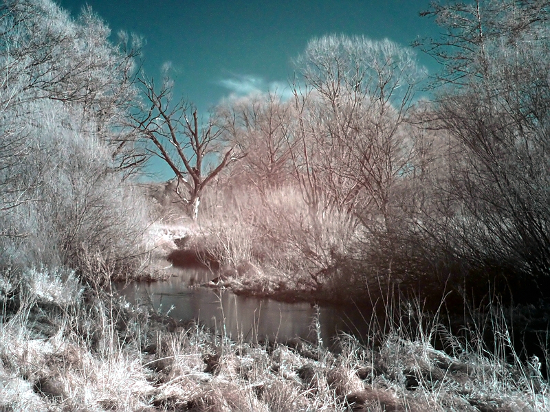 Wczytywanie Obrazu...