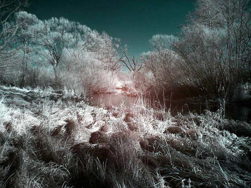 Wczytywanie Obrazu...