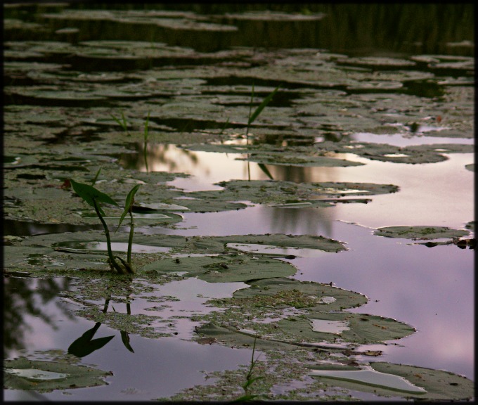 Wczytywanie Obrazu...