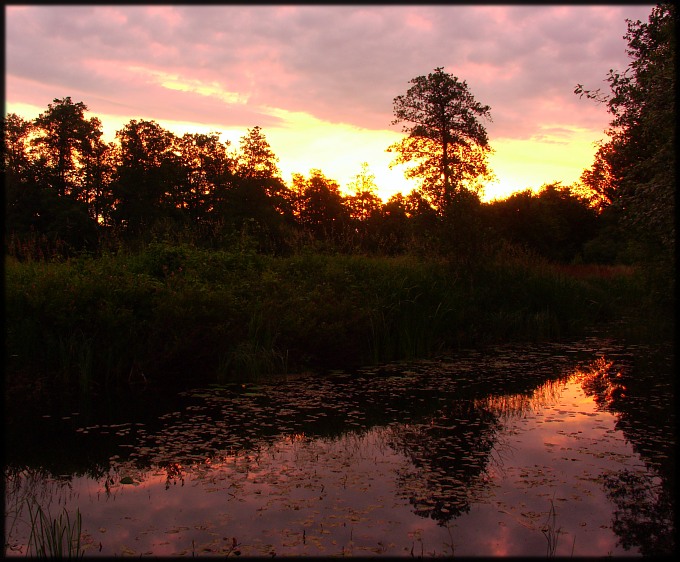 Wczytywanie Obrazu...