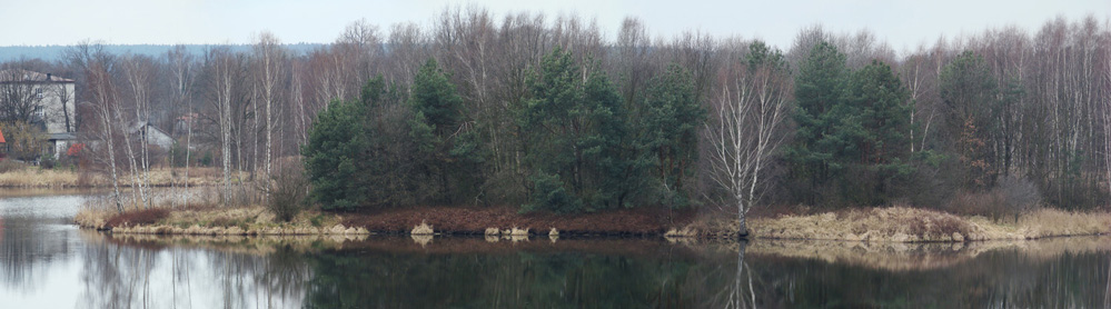 Wczytywanie Obrazu...