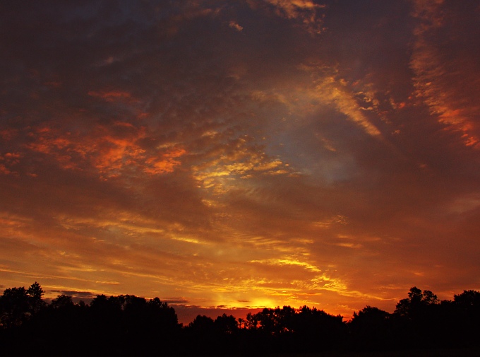 Wczytywanie Obrazu...