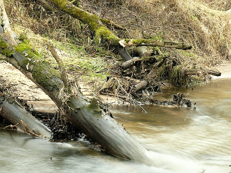 Wczytywanie Obrazu...