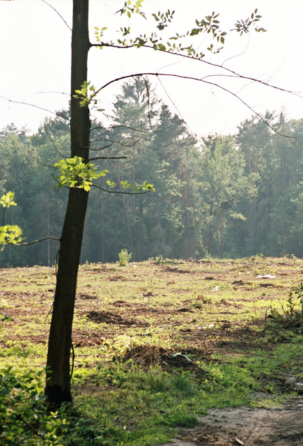 Wczytywanie Obrazu...