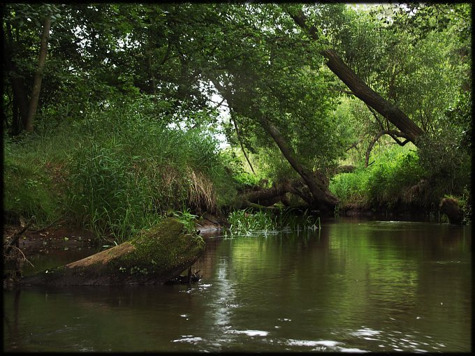 Wczytywanie Obrazu...