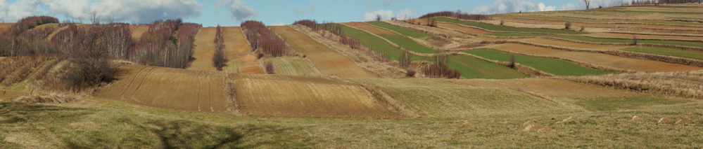 Wczytywanie Obrazu...